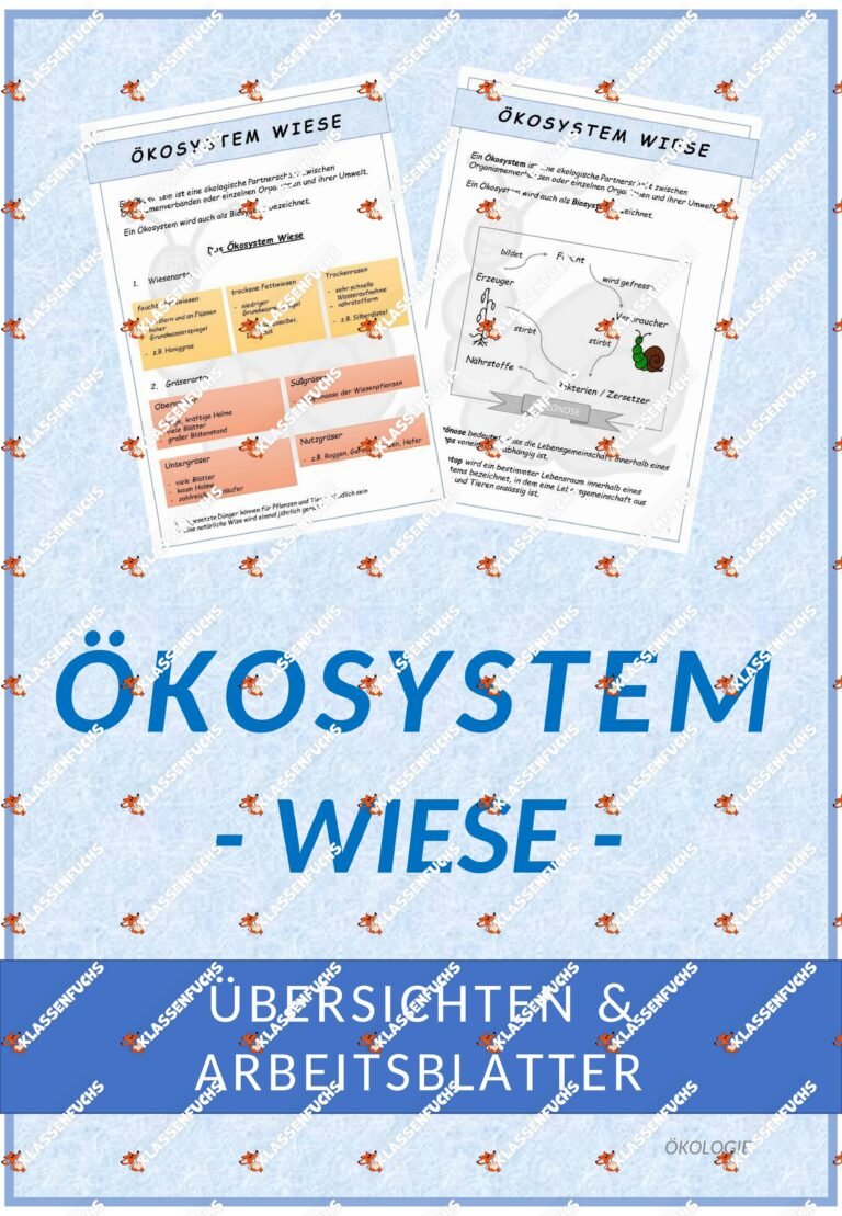 Biologie: Ökosystem Wiese